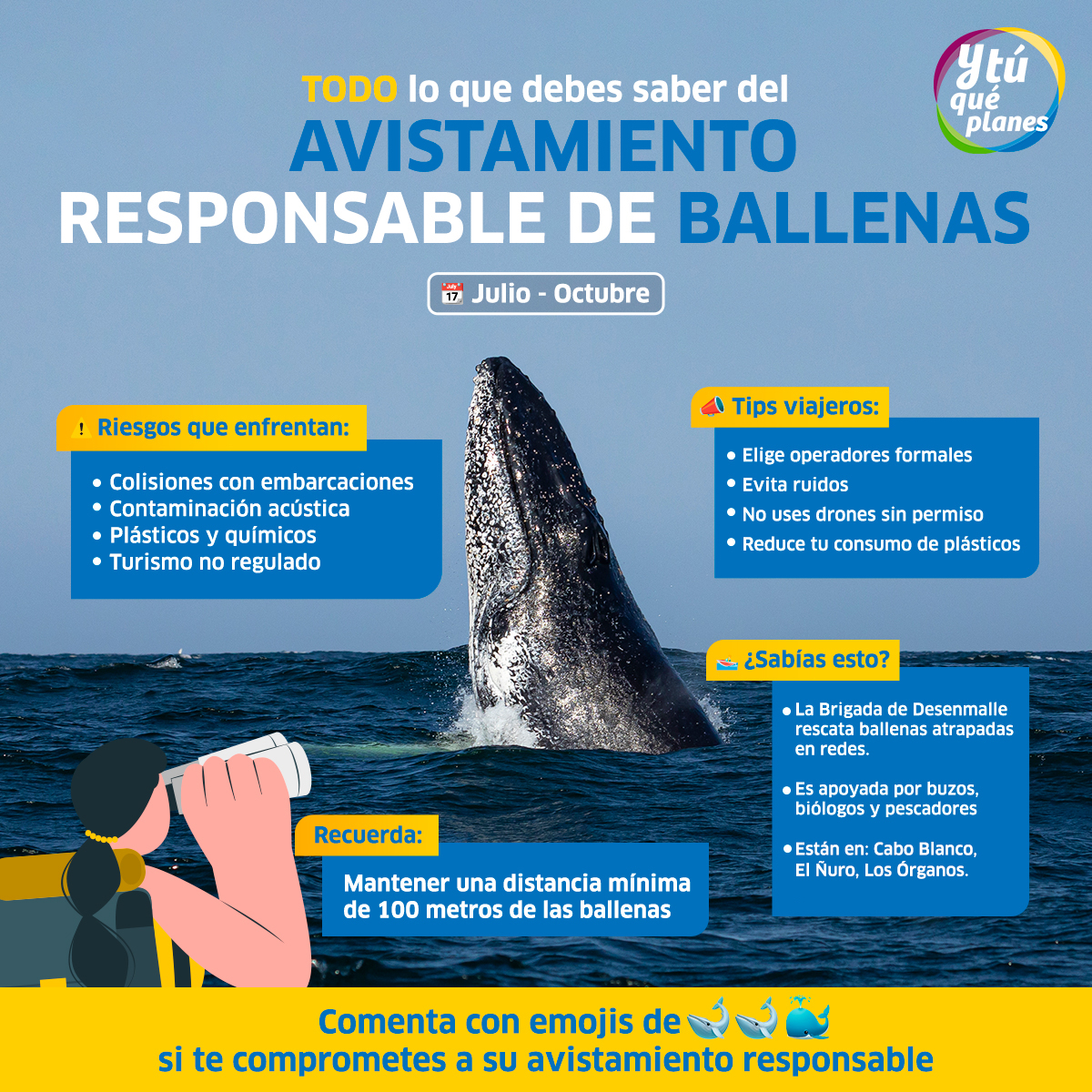ConoceelPeru's tweet image. ¡Prepárate para una experiencia única!😎
Sumérgete en esta infografía y descubre todo lo que hace del avistamiento de ballenas una aventura inolvidable en el norte del #Perú. 🌊 Descubre más información aquí: bit.ly/3U5mTU8 🐋
#TemporadaDeBallenas2025 #SamiEnElNorte
