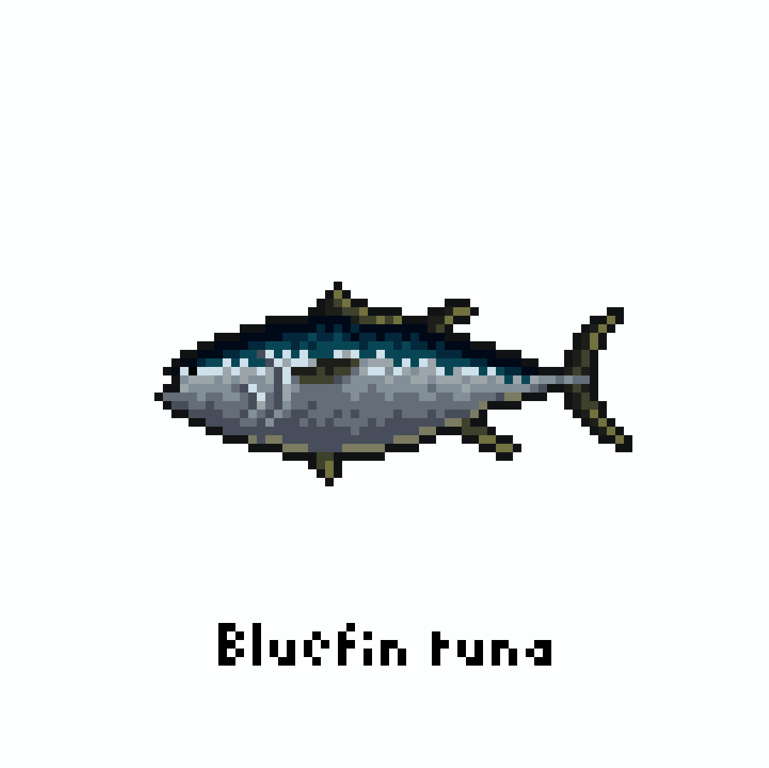 yofca13's tweet image. マグロ / Bluefin tuna

#pixelart #illustration #ドット絵