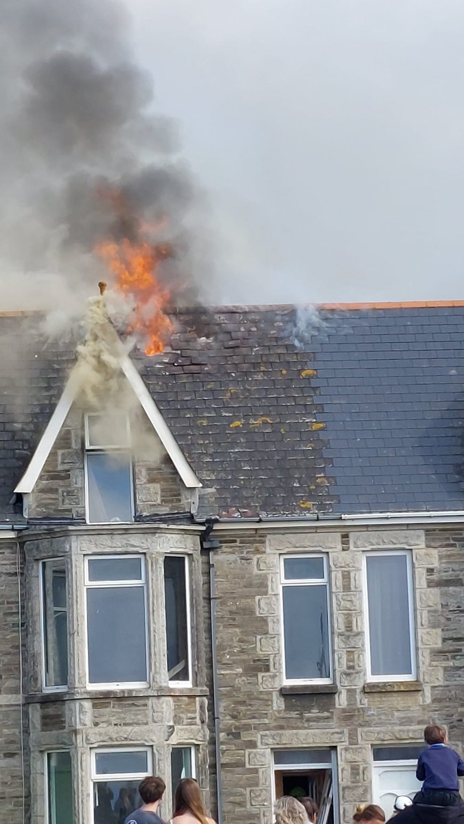 Jane Griffiths tweet media