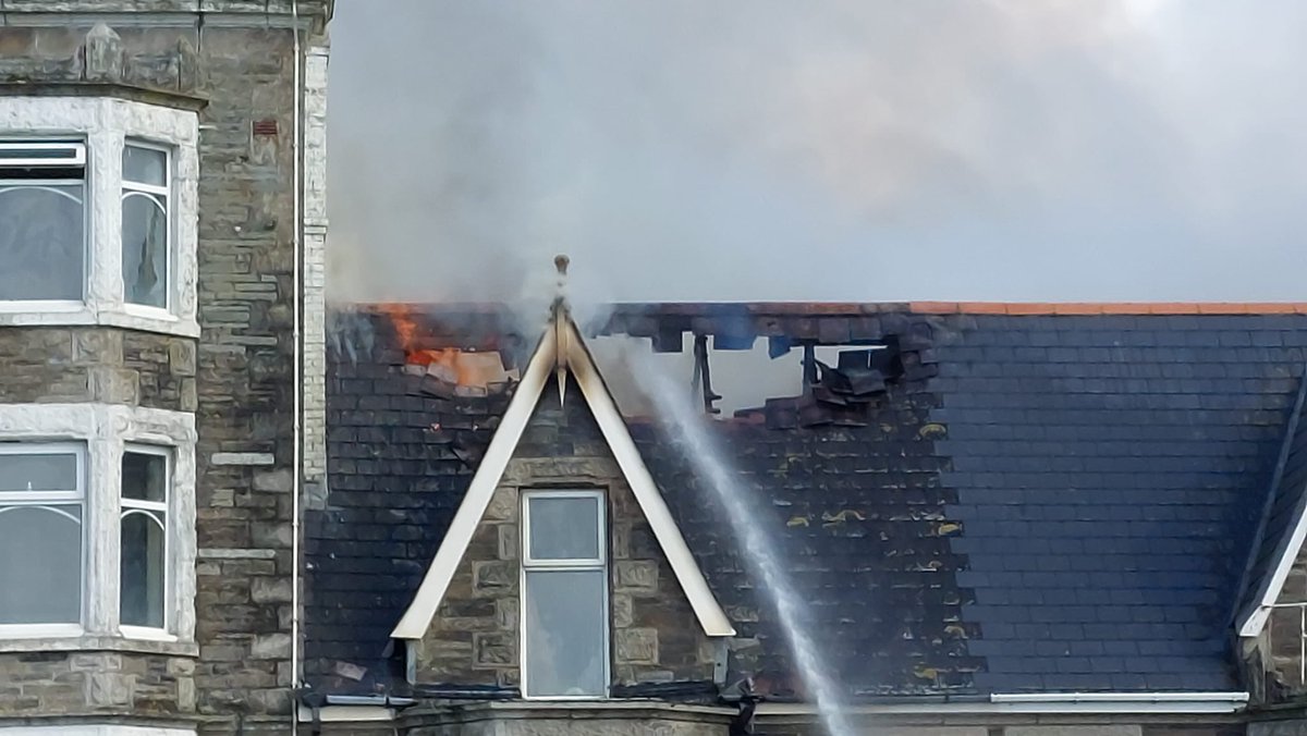 Jane Griffiths tweet media