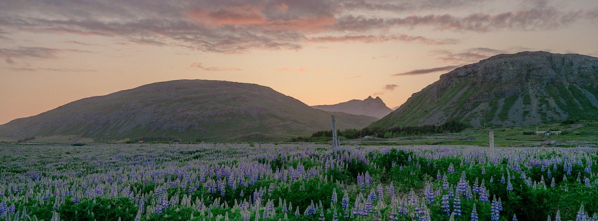 visualsofearth1's tweet image. 1AM in Iceland