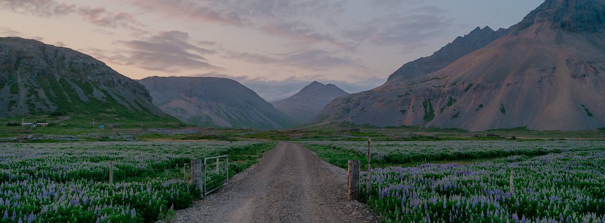 visualsofearth1's tweet image. 1AM in Iceland