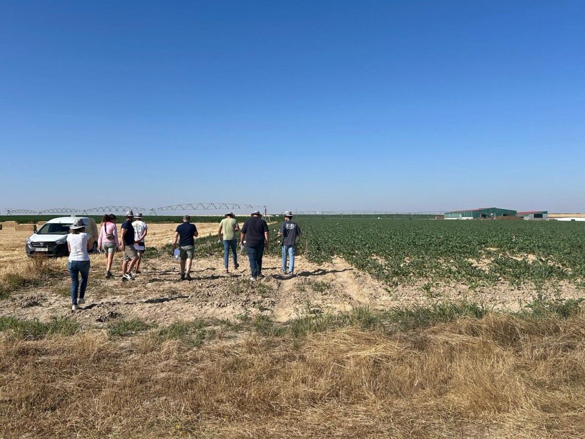 Brixton conquista el cultivo de #remolacha 🌱💜

📍 El viernes organizamos una jornada de #campo en Noharre (Ávila) para mostrar la eficacia del #herbicida Brixton.

Los resultados impresionaron a nuestros clientes y nuestro equipo encantado de verlo 😁

bit.ly/3TmPIwr