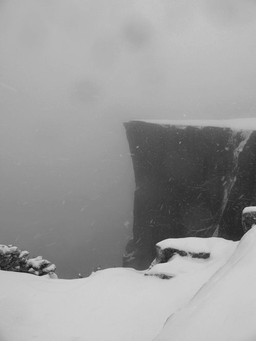 ʝα∂ε ₊˚. ꒰ა🪽 tweet media