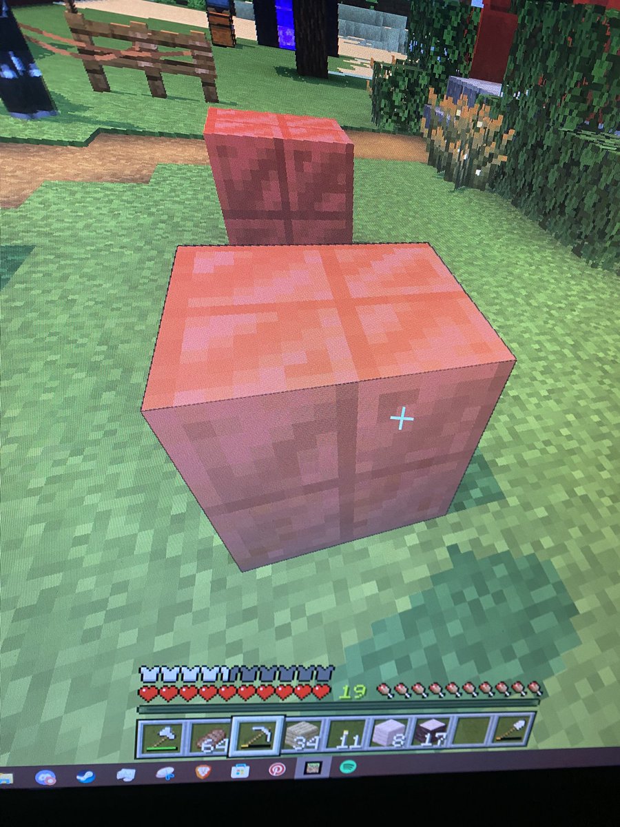 EvanIsLoco tweet media