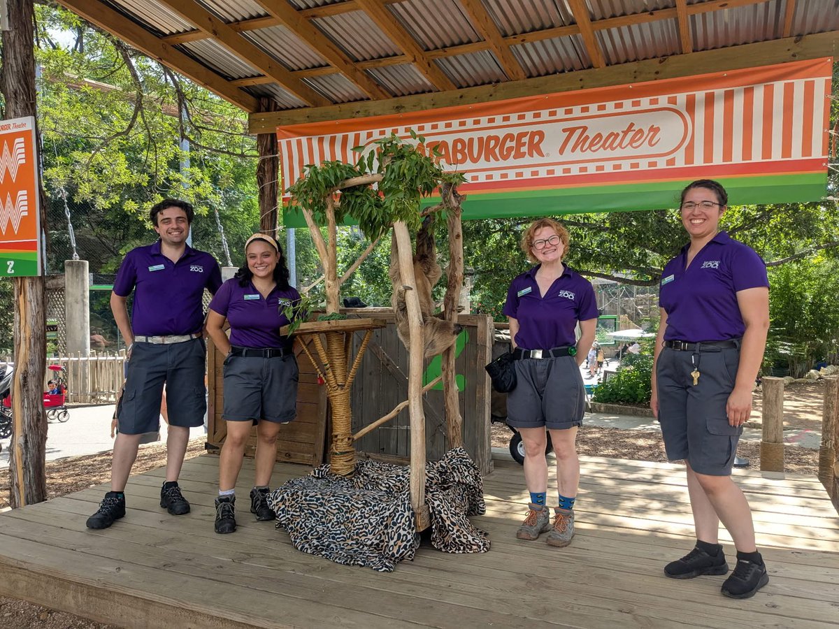 SanAntonioZoo's tweet image. Our Animal Ambassador Team works with a wide variety of animals including Hogan the tamandua, Elmer the porcupine, Wilson the armadillo, Yavari the sloth, and many other reptile, mammal, and bird species. This team is always ready with a smile to share our mission, wether it’s at…