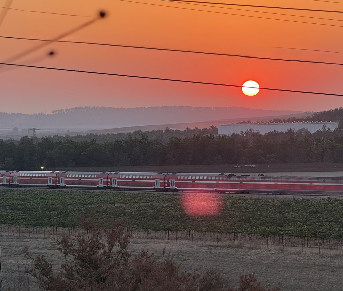 HilzFuld's tweet image. There are moments that warrant pulling the car to the side of the road to capture.
This was one of those moments.