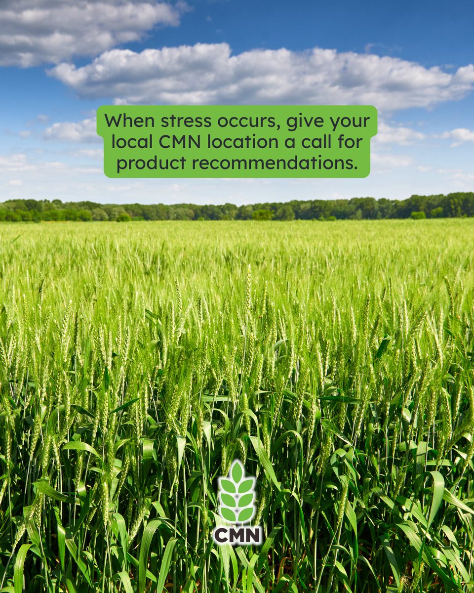 Stay ahead of heat blast this summer!

In Central Alberta, rising temps during flowering can trigger heat blast, costing you yield.

A timely cytokinin application can help support plant development, reduce stress impact, and keep your crop moving in the right direction.

Talk to