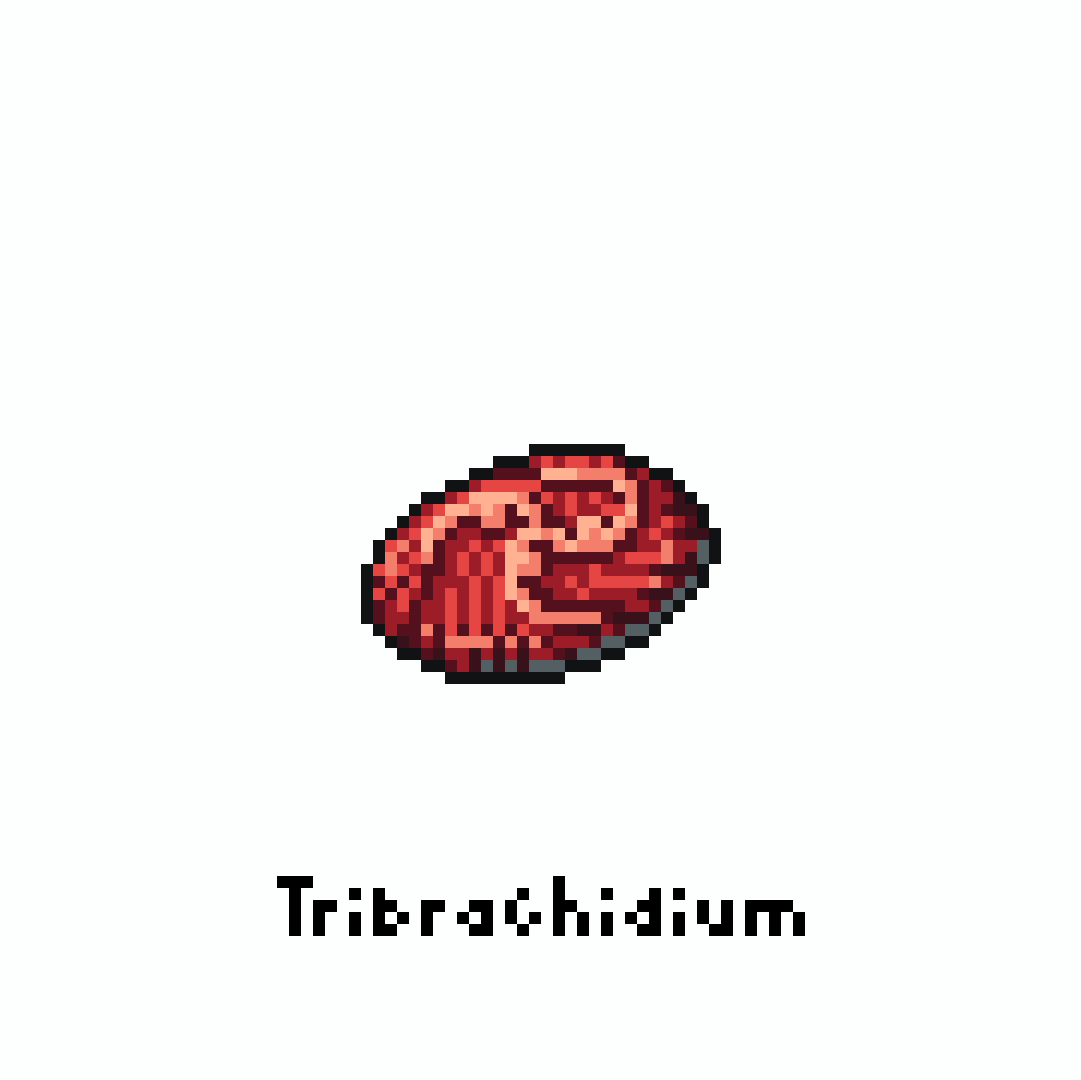 yofca13's tweet image. トリブラキディウム / Tribrachidium

#pixelart #illustration #ドット絵