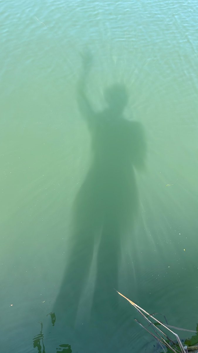 Sesiones de sal marina 🦎

Disfruta y óyelas aquí:
open.spotify.com/album/5BU1XMOX…