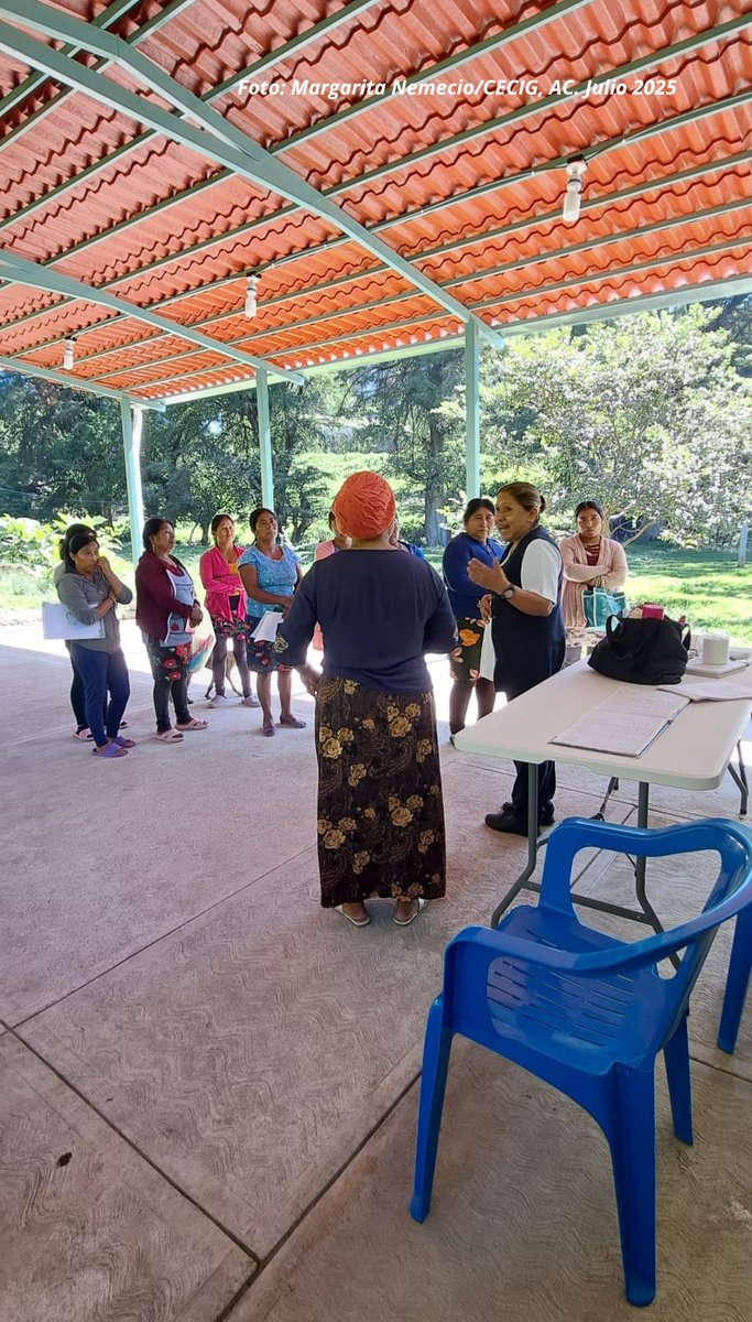 Centro de Estudios en Cooperación Internacional tweet media