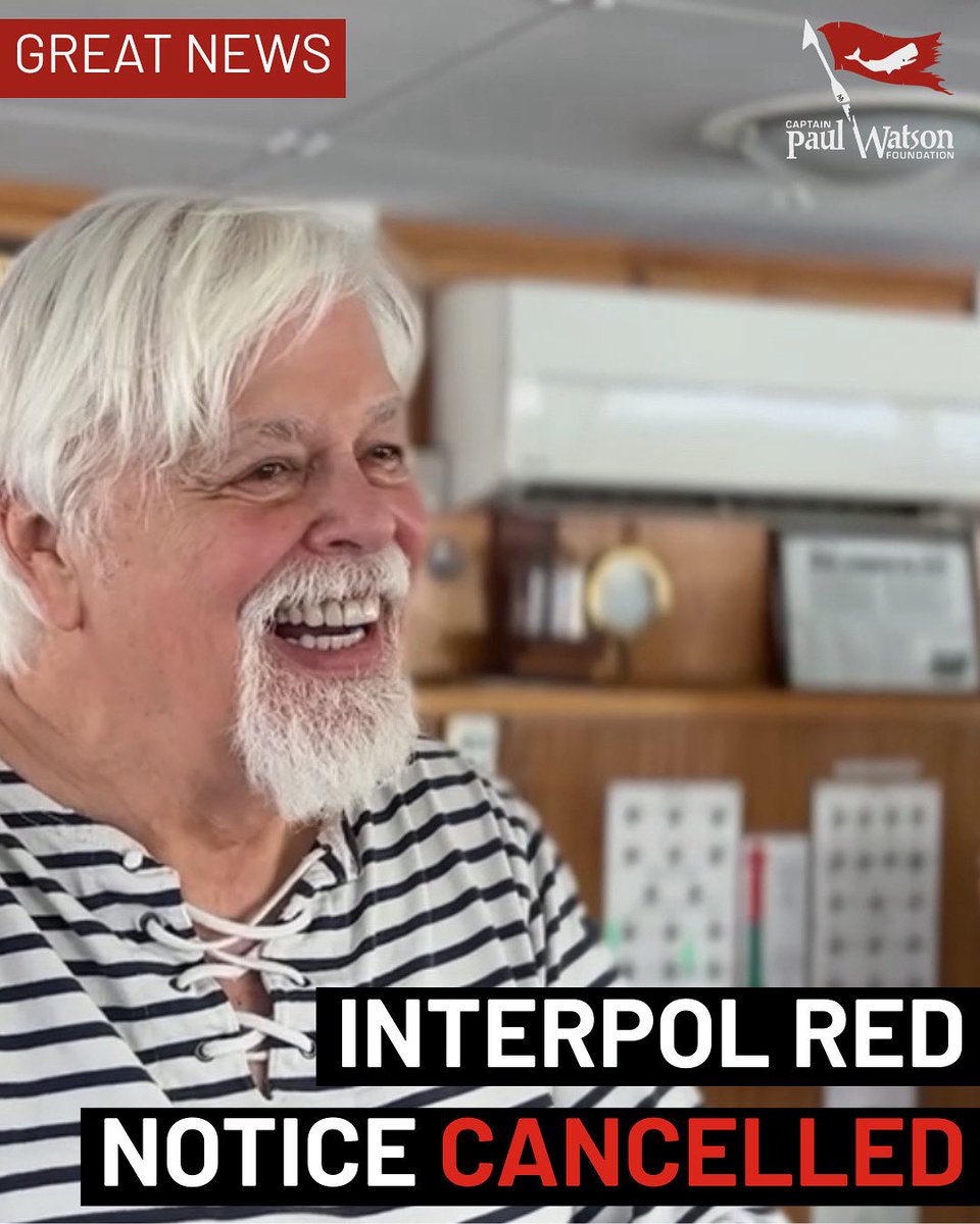 CaptPaulWatson's tweet image. ๐จINTERPOL RED NOTICE CANCELLED!!
The Japanese whalers have been after me for 14 years ever since I was first detained in Frankfurt, Germany in May 2012.
It has been an incredible pursuit by a very powerful nation using unlimited resources but finally I am free