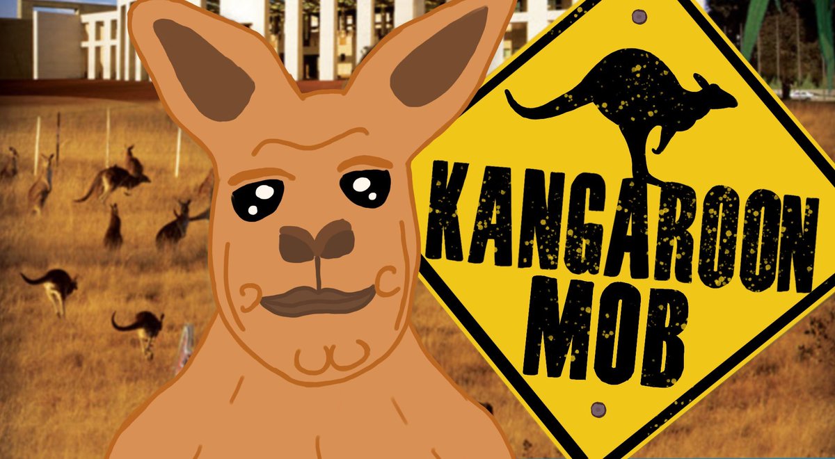 RogerTheRoon's tweet image. Did you know a group of Kangaroo's are called a MOB?
Roger that.