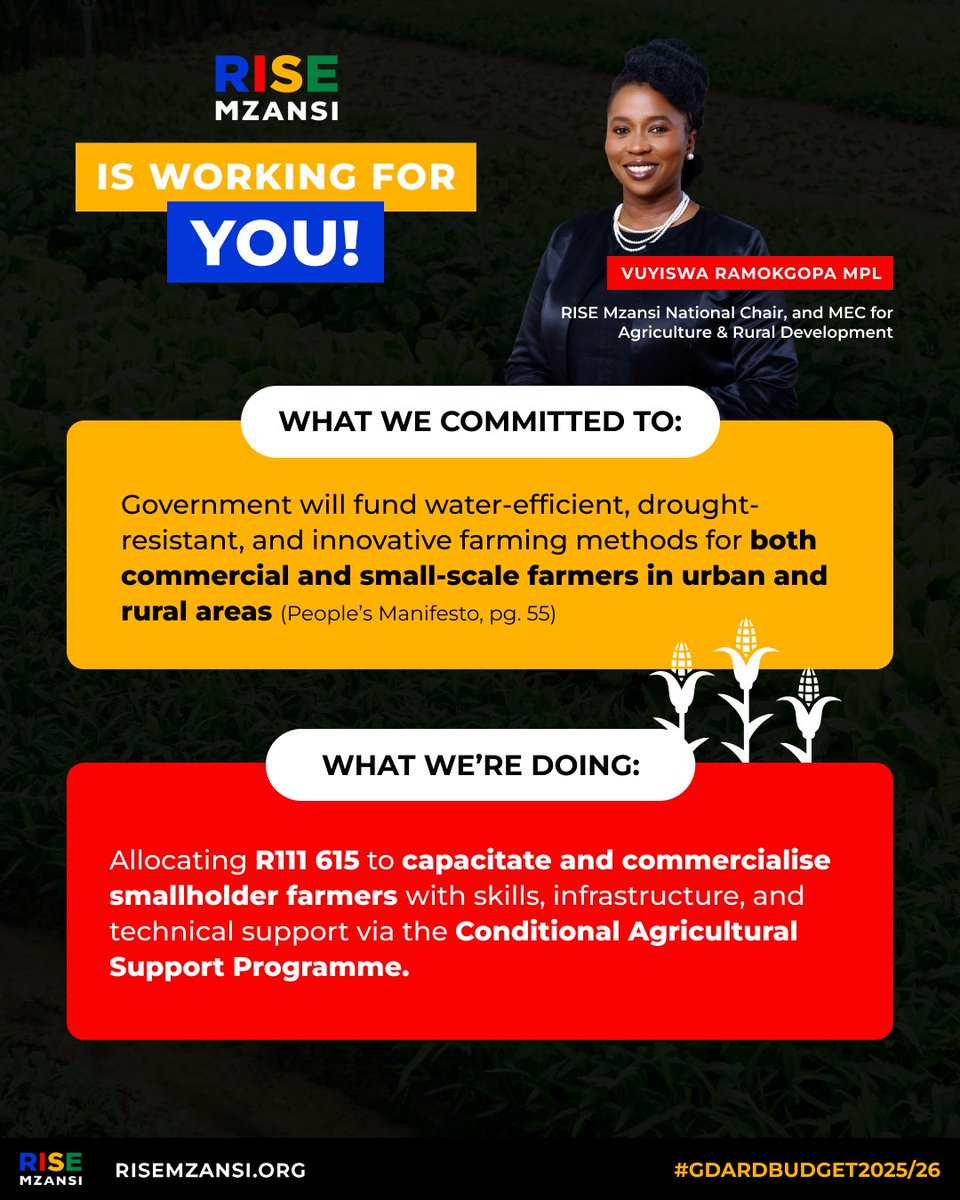RISEGauteng's tweet image. On Thurs, 17 July, @Rise_Mzansi National Chair and Gauteng MEC for Agriculture and Rural Development, @VuyiswaRamokgop, delivered her department's 2025/26 budget speech.
Here's how she's working to uphold RISE Mzansi's campaign commitments:
#RISEinGovernment
#WeNeedNewLeaders