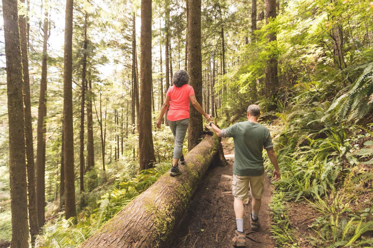 CDC_Cancer's tweet image. Physical activity may lower your risk of depression if you’re a cancer survivor. The outdoors is a great way to be active and can help improve your mental health. bit.ly/4nUQddW