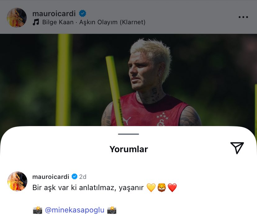 mistikmauro's tweet image. “bir aşk var ki anlatılmaz, yaşanır 💛🦁❤️”