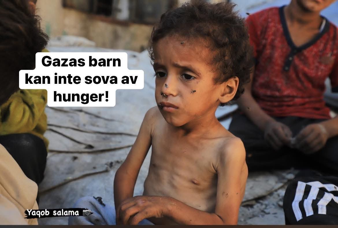vikingwarior20's tweet image. Barnen i Gaza kan inte sova på grund av hunger. Detta medan många av oss bekymrar sig för vilken maträtt vi ska välja mellan idag.
Må Gud underlätta för dem och ge dem trygghet och försörja dem från källor som de inte har räknat med.