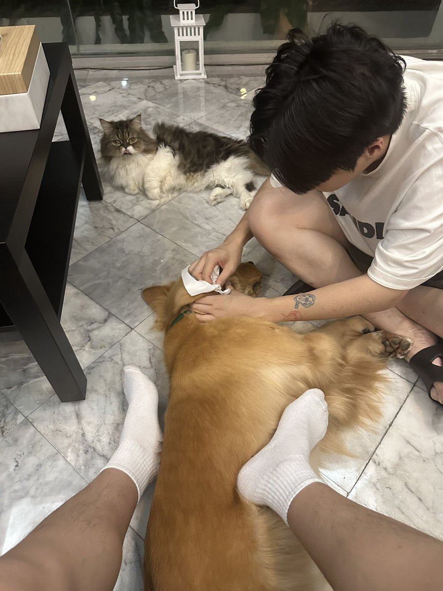 bkk1314's tweet photo. Good night 😴 https://t.co/blnHhPAQXz