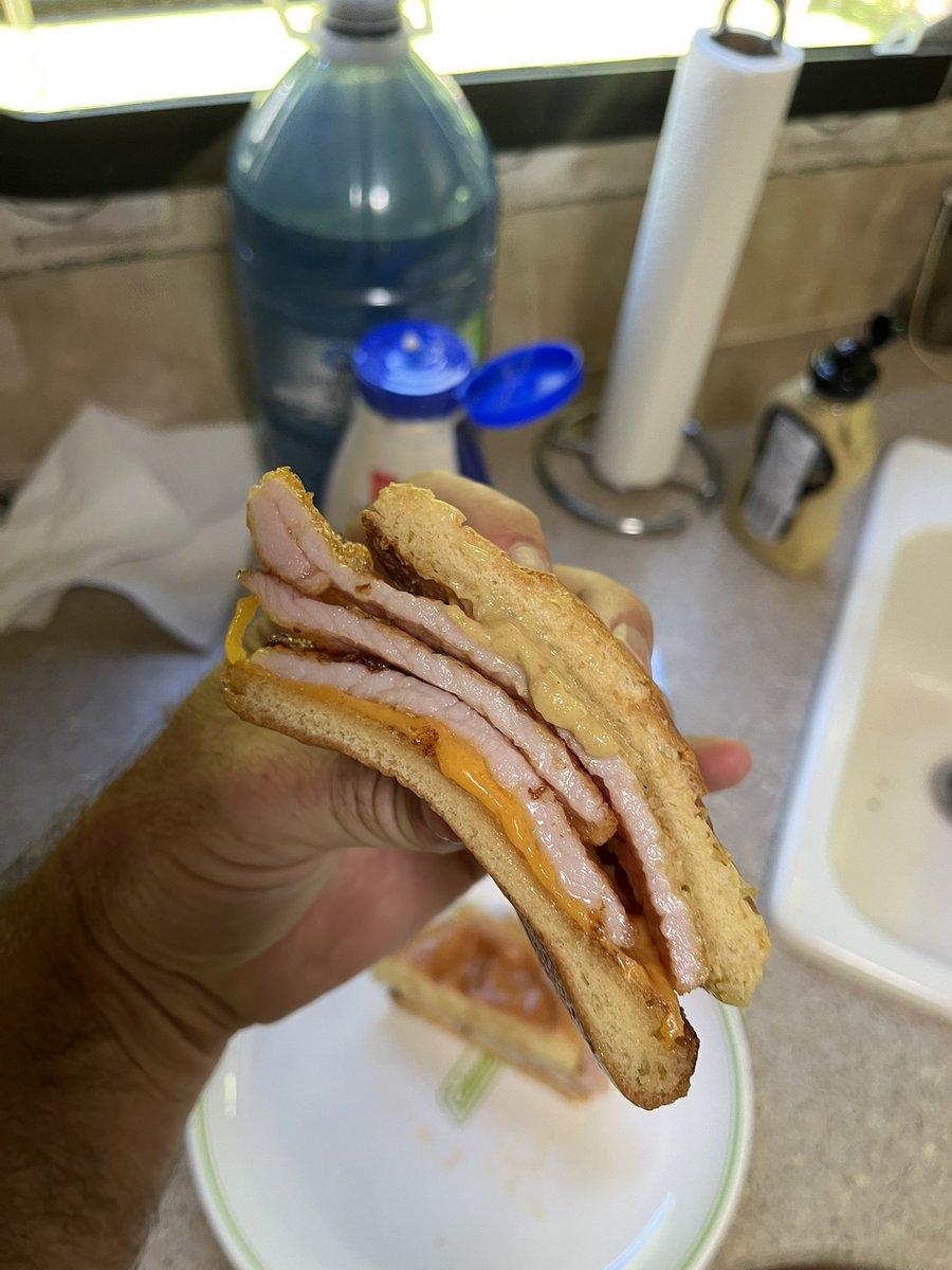 turtology's tweet image. The American mind cannot comprehend this. (Peameal on a bun)