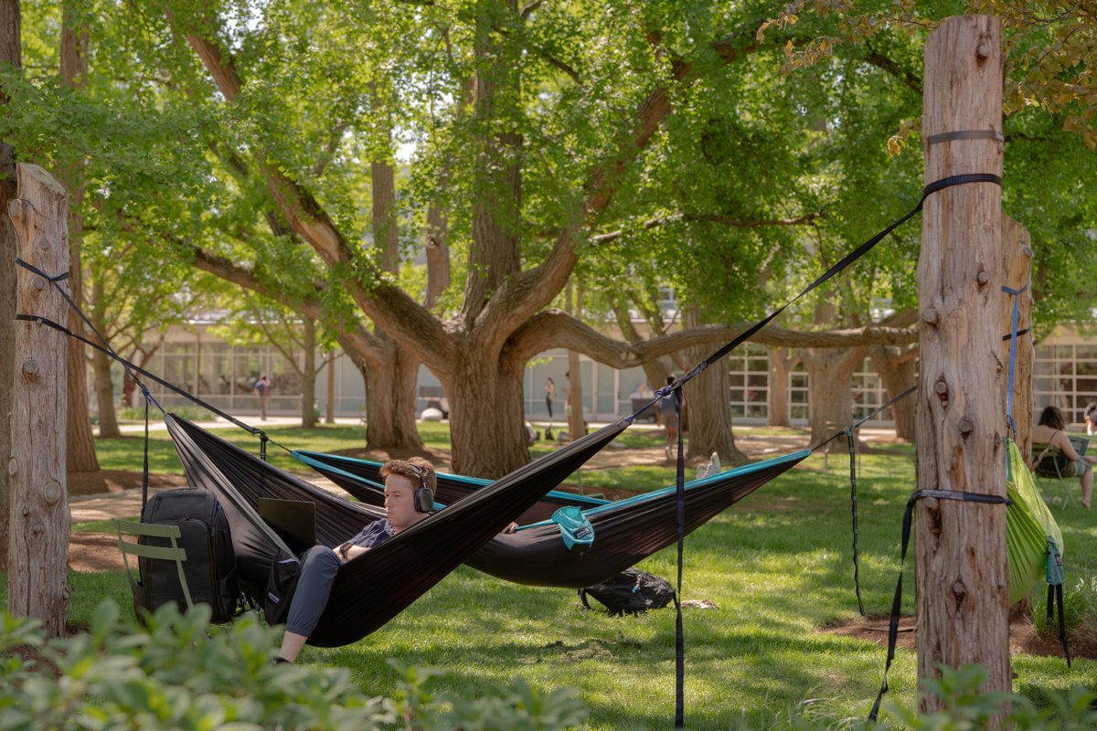 WashUAlumni's tweet image. Wanna hang out?
#WashU #NationalHammockDay
📸:Whitney Curtis, Sean Garcia, Virginia Harold, Danny Reise/WashU