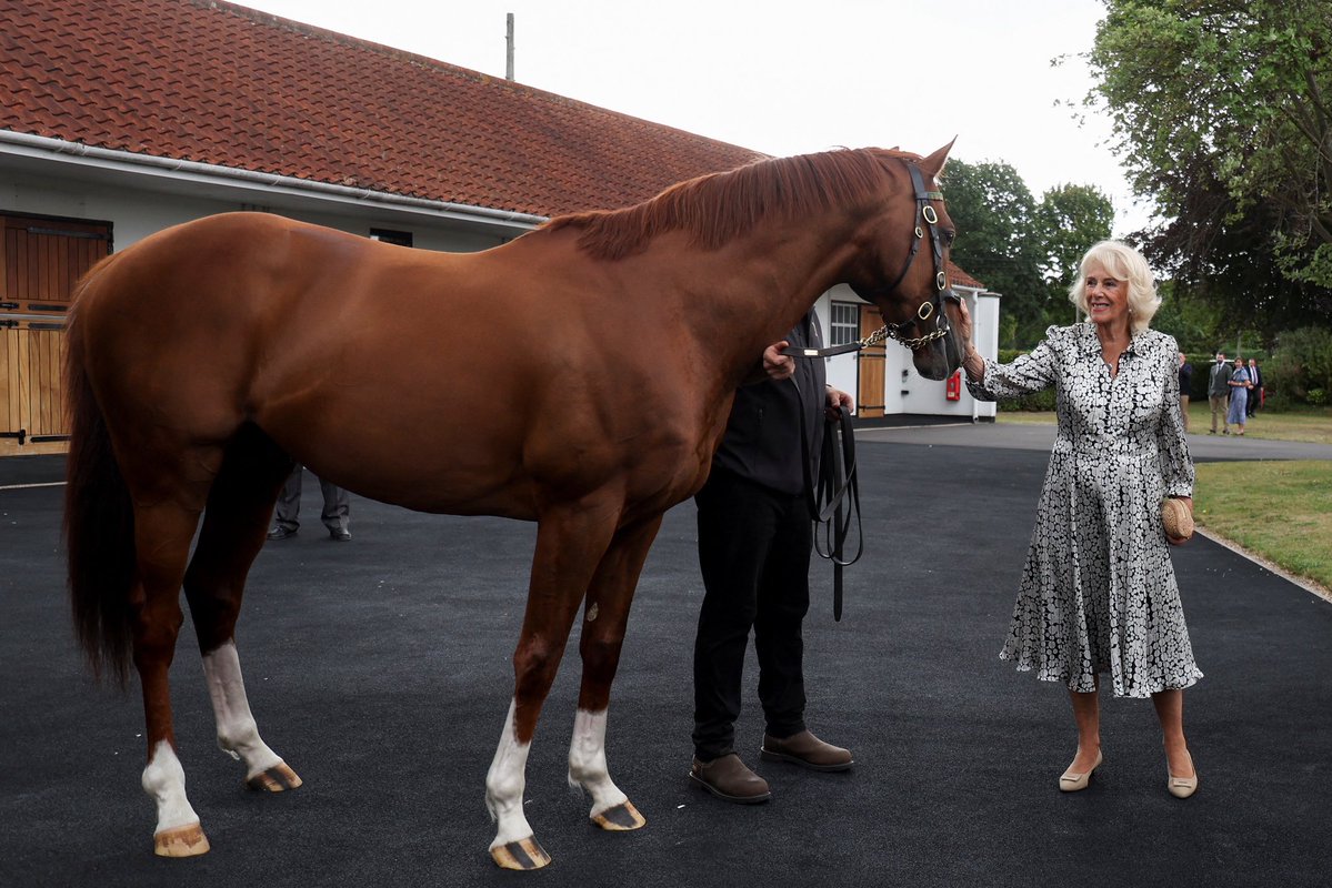 RoyalFamily's tweet image. A wonderful day in Newmarket! 👋
🐴 Their Majesties visited @NatStudStallion, meeting those involved industry-leading stud services, educational programmes, and charities improving access to British horse racing for young people.
🤝 Later, at King Edward VII Memorial Hall,…