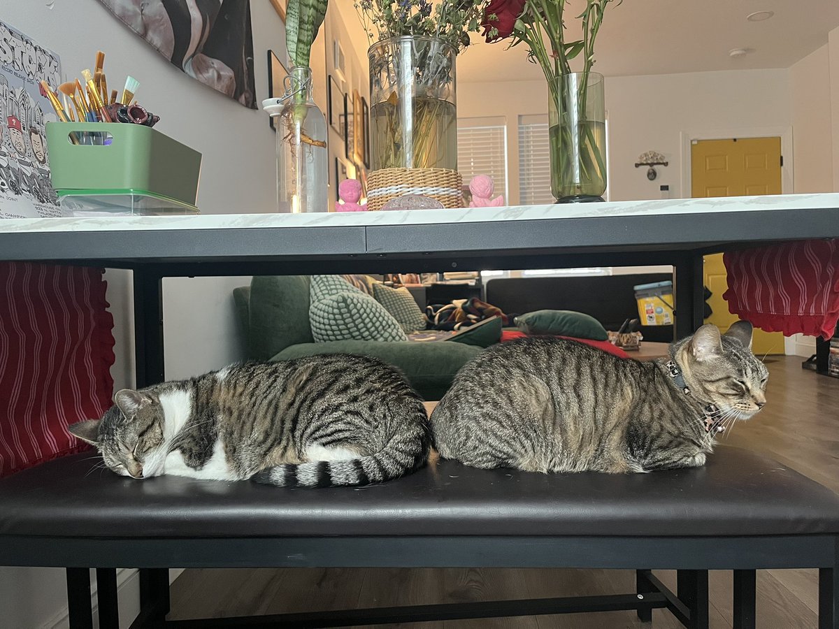 knuckledrragger's tweet image. the girls napped together for the first time as their joint birthday gift to me :)