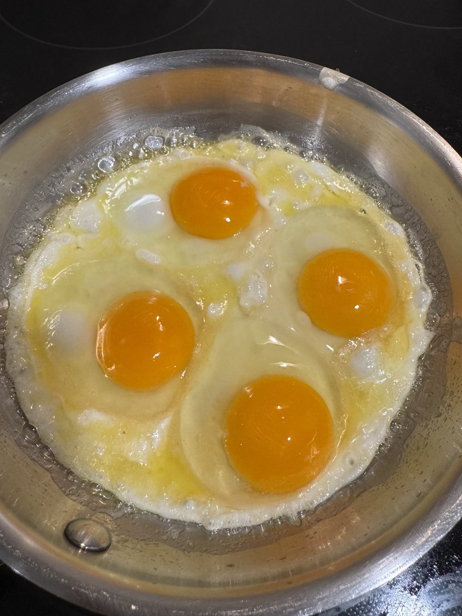 EmanBotl's tweet image. Egg time…
