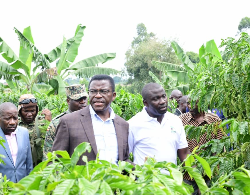 Vincent Matovu (@vmatovu67) on Twitter photo Olwaleero, Katikkiro alumaze mu Ssaza Kyaggwe ng'alambula abalimi be mmwanyi mu nteekateeka ya #MwanyiTerimba .
Mu balimu abalambuddwa mubademu, Omw. Eddie Kimuli, Batabani b'omugenzi Yawe abamanyiidwa olw'erinya lya Kitaabwe ne Hajji Umar Ddumba.
<a href="/MwanyiTerimba/">Mwanyi Terimba Limited</a> <a href="/BucadefUg/">Buganda Cultural & Development Foundation(BUCADEF)</a> Olwaleero, Katikkiro alumaze mu Ssaza Kyaggwe ng'alambula abalimi be mmwanyi mu nteekateeka ya #MwanyiTerimba .
Mu balimu abalambuddwa mubademu, Omw. Eddie Kimuli, Batabani b'omugenzi Yawe abamanyiidwa olw'erinya lya Kitaabwe ne Hajji Umar Ddumba.
<a href="/MwanyiTerimba/">Mwanyi Terimba Limited</a> <a href="/BucadefUg/">Buganda Cultural & Development Foundation(BUCADEF)</a>
