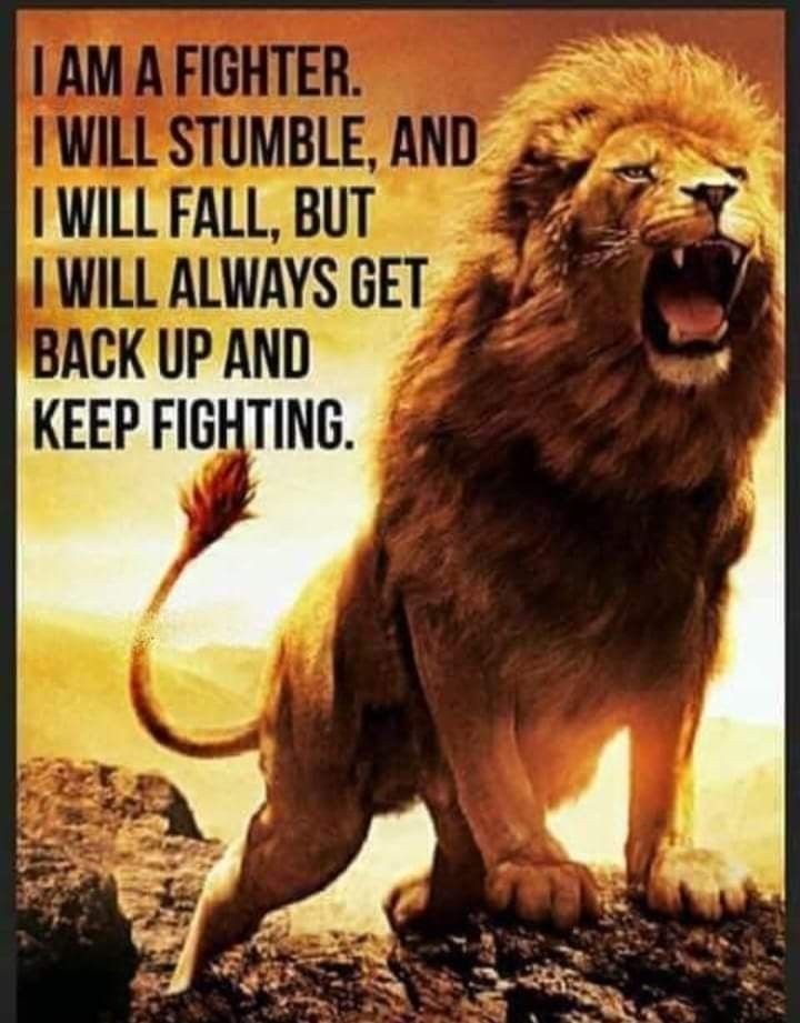 MarkIsrael107's tweet image. Hi Guys. I recently lost my old account with 18K followers. I'm not giving up and have decided to come back today. I would love to have you all back. Please Follow @MarkIsrael107 I'm working at following everyone back. Please also REPOST 🙏 💙