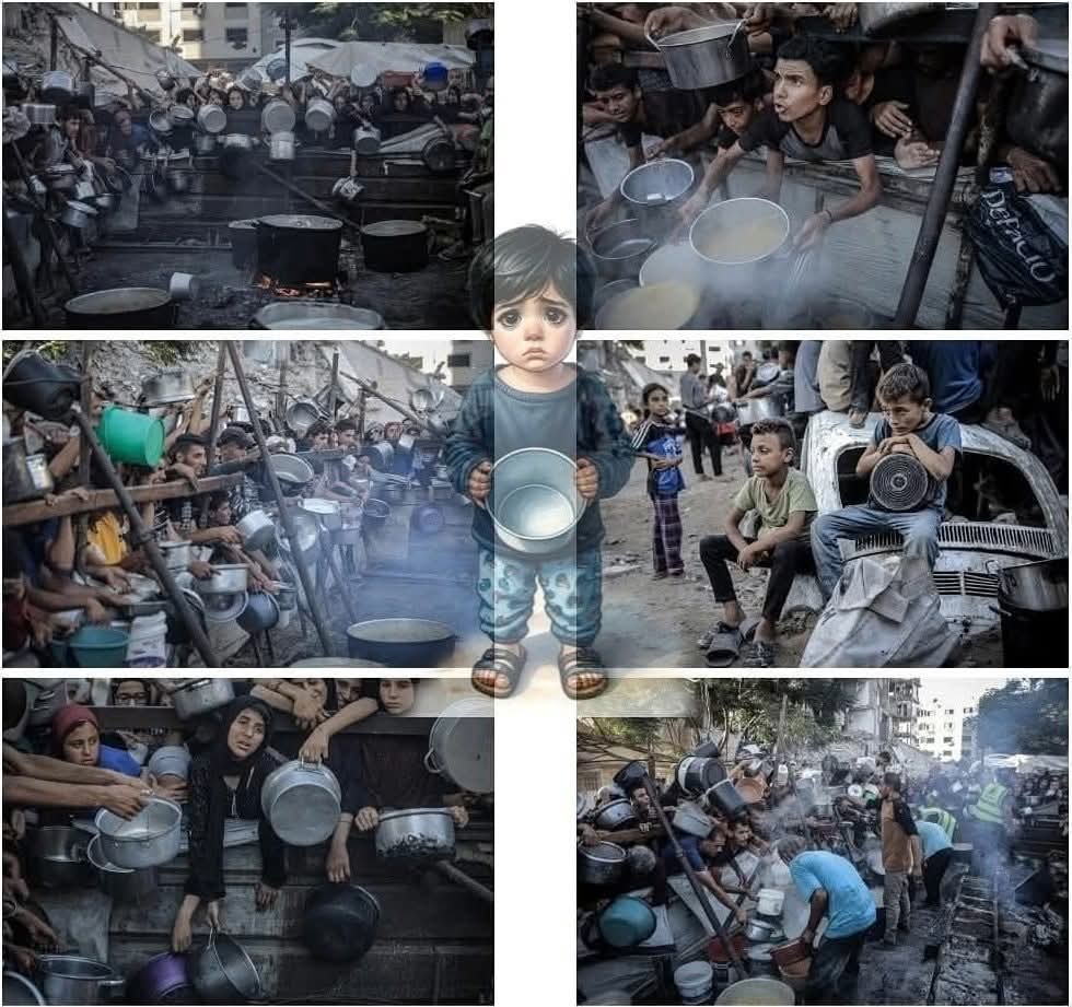 RolaSMansour's tweet image. أيام بلا طعام.. المجاعة تفتك بأطفال #غزة، حيث يُسقى الرضّع ماءً بدلاً من غذائهم، ويرتقي من يعيلهم في مصائد الموت، وتحتضر الطفولة أمام أعين العالم.
هنا ضاعت إنسانيّة العالم.
ستكون العدالة مرعبة يوم القيامة أيها المتخاذلون.
#غزه_تموت_جوعاً
#افتحوا_معبر_رفح
#غزه_تباد_وتحرق
