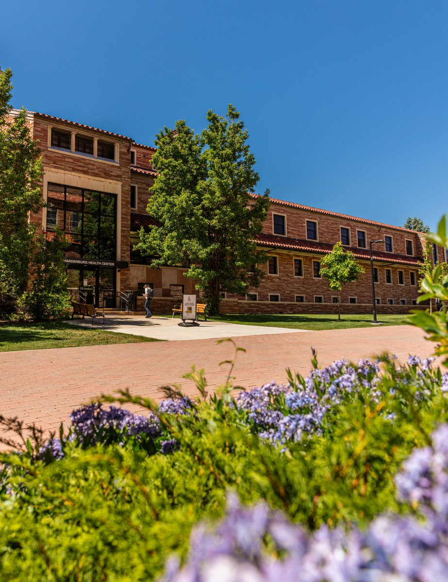 CUHealthyBuffs's tweet image. ☀️ Health and Wellness Services continues to offer services and programs throughout the summer! Learn more about services available to in-state students, out-of-state students and recent graduates: bit.ly/45gGogP
