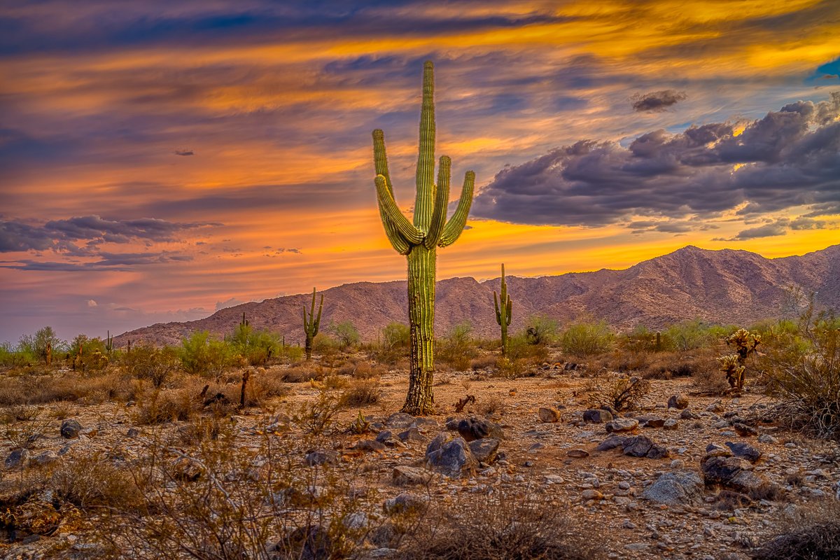 The Sonoran Desert is pretty okay.
#nikon #arizona #azwx