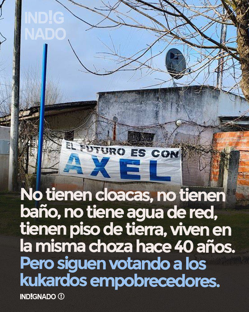 indignadoxd's tweet image. EL FUTURO ES CON AXEL ? 😂😂