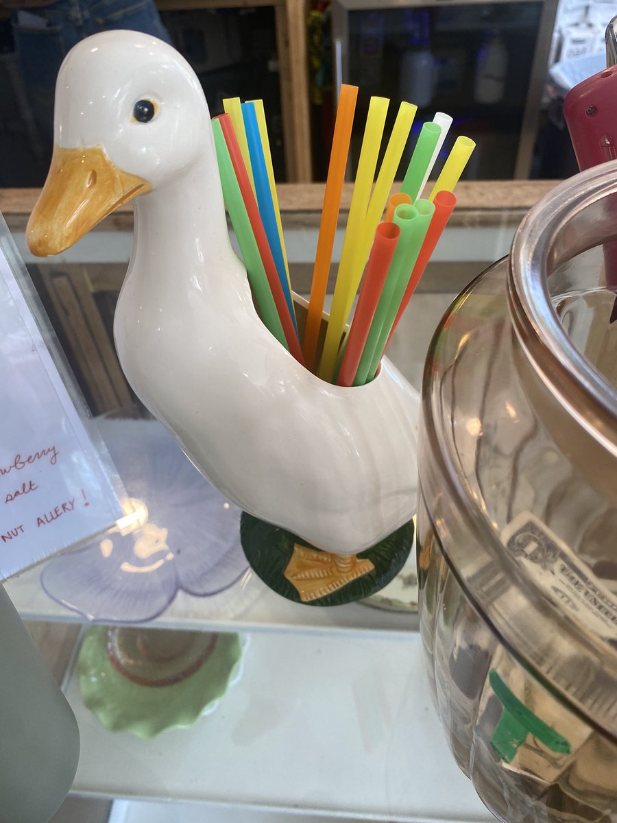 RealFoodRina's tweet image. Seeing geese everywhere. Have to tag my friends @tradmother @countrygoose30