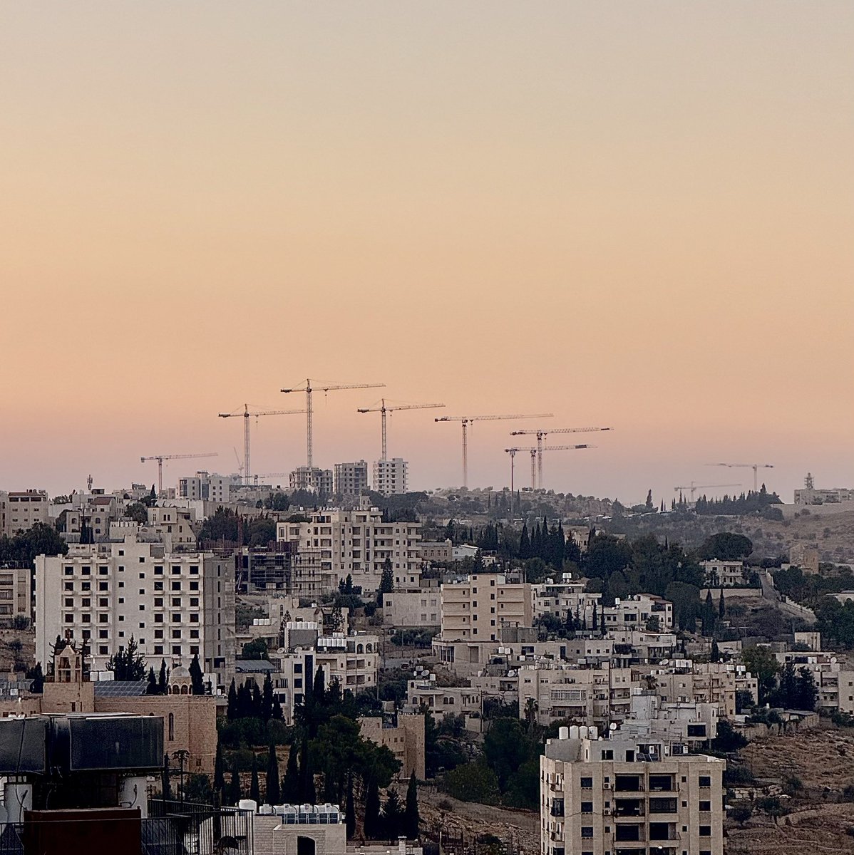 Shepherds4Good's tweet image. You can see all the cranes from the top of Bethlehem eating up the Palestinian land of Beit Safafa in Jerusalem, and yet folks still can’t understand that zionism is, first and foremost, a capitalist project.