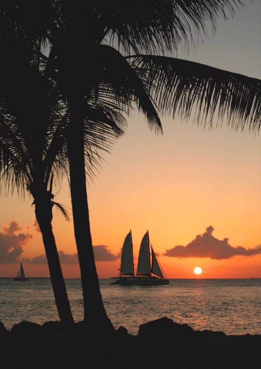 Naji_alt's tweet photo. Sailing into paradise as the sun melts into the sea — pure tropical magic 🌅⛵🌴
#SunsetDreams #TropicalEscape #OceanVibes #SailingAway #GoldenHorizon #PalmSilhouette #IslandMood #NatureAtItsBest https://t.co/oDmGxgOaBK