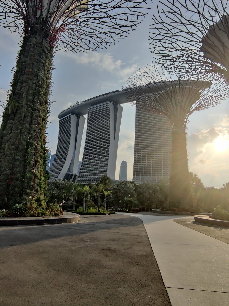 DerekAOReilly's tweet photo. Great to take part in #STACC Trauma and acute care surgery #singapore2025 https://t.co/ANA2XJqLLI