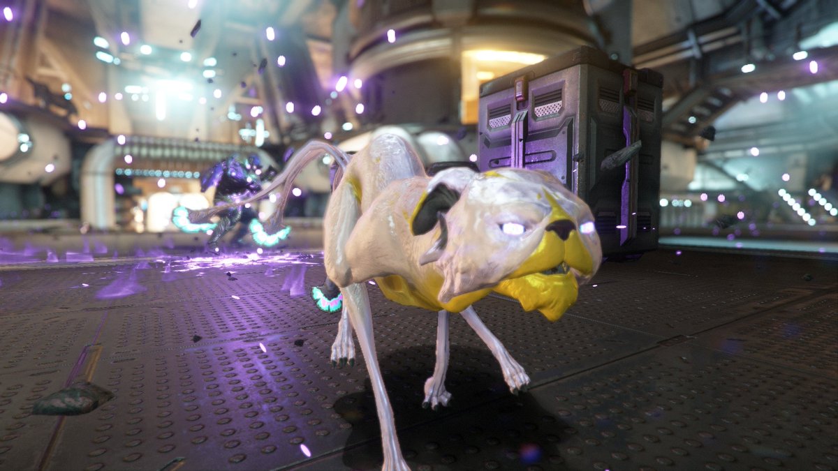 Murmurmancer's tweet photo. Also, meet Egg. I think we can all see why. #warframe #tennocreate https://t.co/2d675hukQk