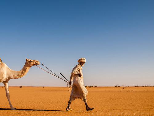 SudaneseCulture's tweet image. A kababish Nomad Man Leading his Camel Through the Wadi El-Malik Desert - Sudan.
#SudaneseCulture
#ثقافة_سودانية