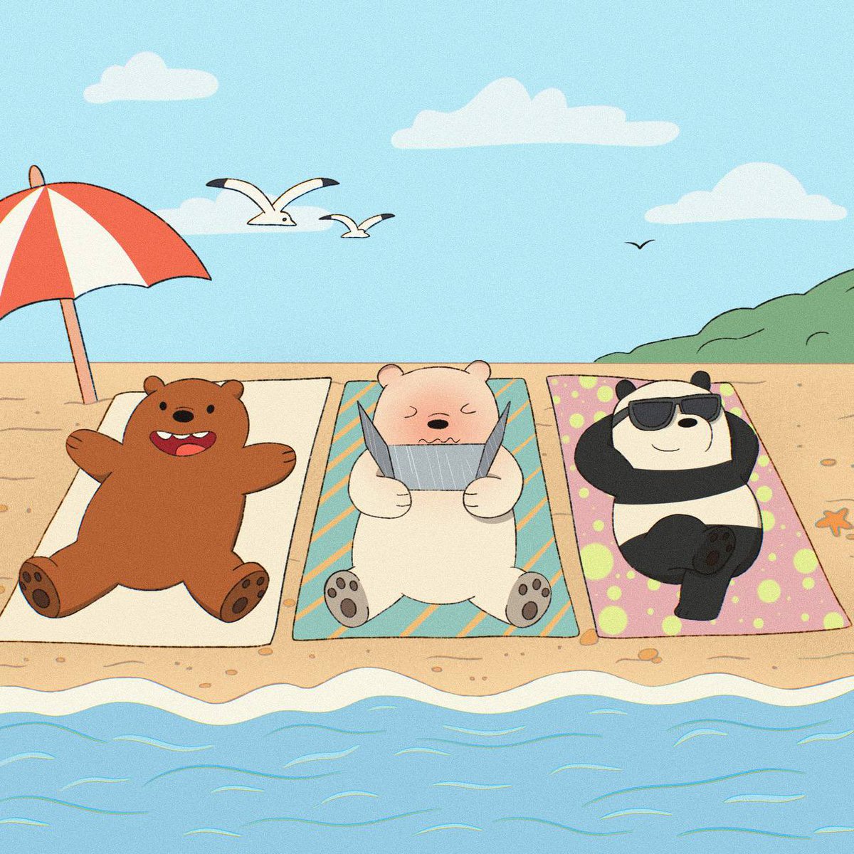 barebears_hype tweet picture