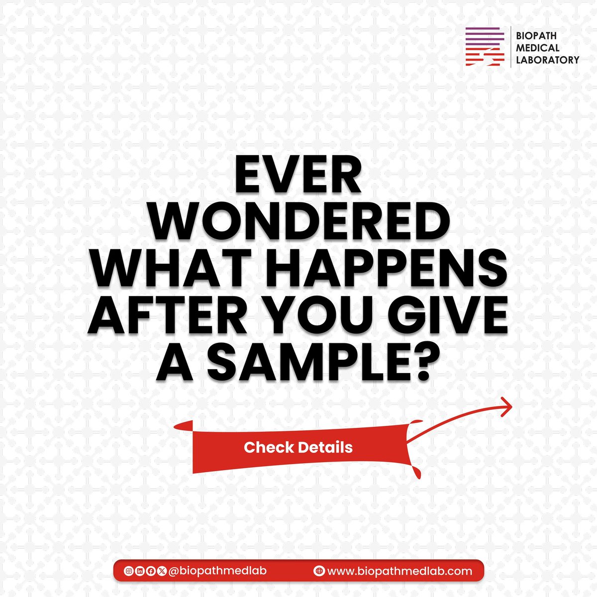 biopathmedlab's tweet photo. 🔍 What really happens after your sample is collected at Biopath Medical Laboratory?

At Biopath, we follow a structured and highly controlled process to ensure you receive fast, accurate, and reliable test results:
• Sample Identification
• Safe Handling
• Scientific Testing https://t.co/WqNgTrSPqD