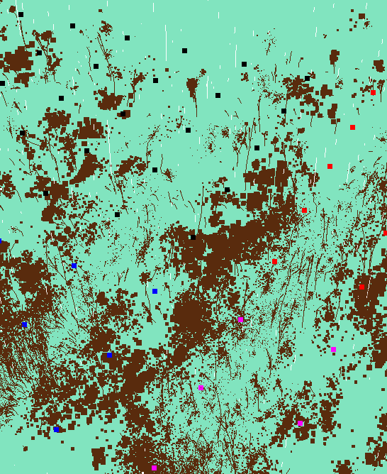 Wil Schmor tweet media