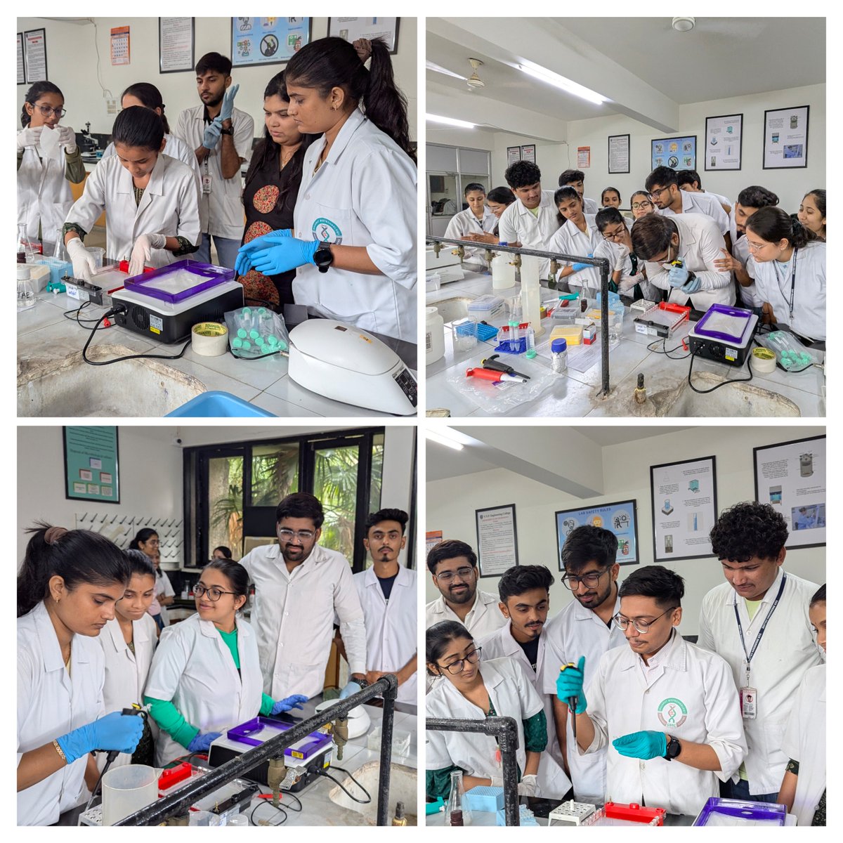 GBRC (@gbrc_gujarat) on Twitter photo Glimpse of day-8 activities of 2 weeks hands on training on "Molecular Biology Techniques" at <a href="/vvpcollege/">V.V.P. Engineering College</a>, Rajkot in collaboration with <a href="/gbrc_gujarat/">GBRC</a>.
<a href="/dstGujarat/">Department of Science & Technology, Gujarat</a> <a href="/monakhandhar/">Mona Khandhar IAS</a> <a href="/ChaitanyaGJoshi/">Chaitanya Joshi</a> <a href="/gsbtm/">Gujarat State Biotechnology Mission</a> <a href="/GujBiotechUni/">Gujarat Biotechnology University</a> Glimpse of day-8 activities of 2 weeks hands on training on "Molecular Biology Techniques" at <a href="/vvpcollege/">V.V.P. Engineering College</a>, Rajkot in collaboration with <a href="/gbrc_gujarat/">GBRC</a>.
<a href="/dstGujarat/">Department of Science & Technology, Gujarat</a> <a href="/monakhandhar/">Mona Khandhar IAS</a> <a href="/ChaitanyaGJoshi/">Chaitanya Joshi</a> <a href="/gsbtm/">Gujarat State Biotechnology Mission</a> <a href="/GujBiotechUni/">Gujarat Biotechnology University</a>
