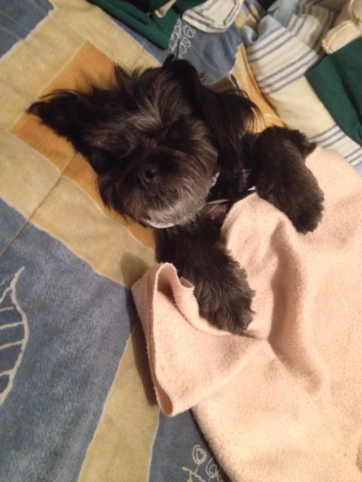 ¡Qué gran verdad!

¡Cómo te extrañamos mi  Negrita! 💔😢