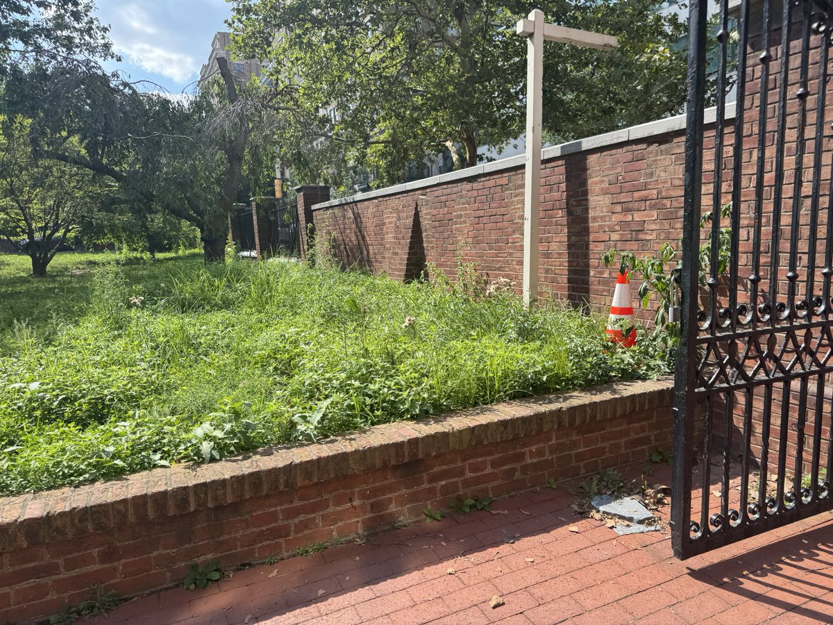 why_Philly_why's tweet image. I get we’ve had non-stop rain in July… but @INDEPENDENCENHP is really doing the bare minimum for landscape and lawn maintenance.
Most of the Independence attractions seem abandoned. Any plans for this @Philadelphia250?