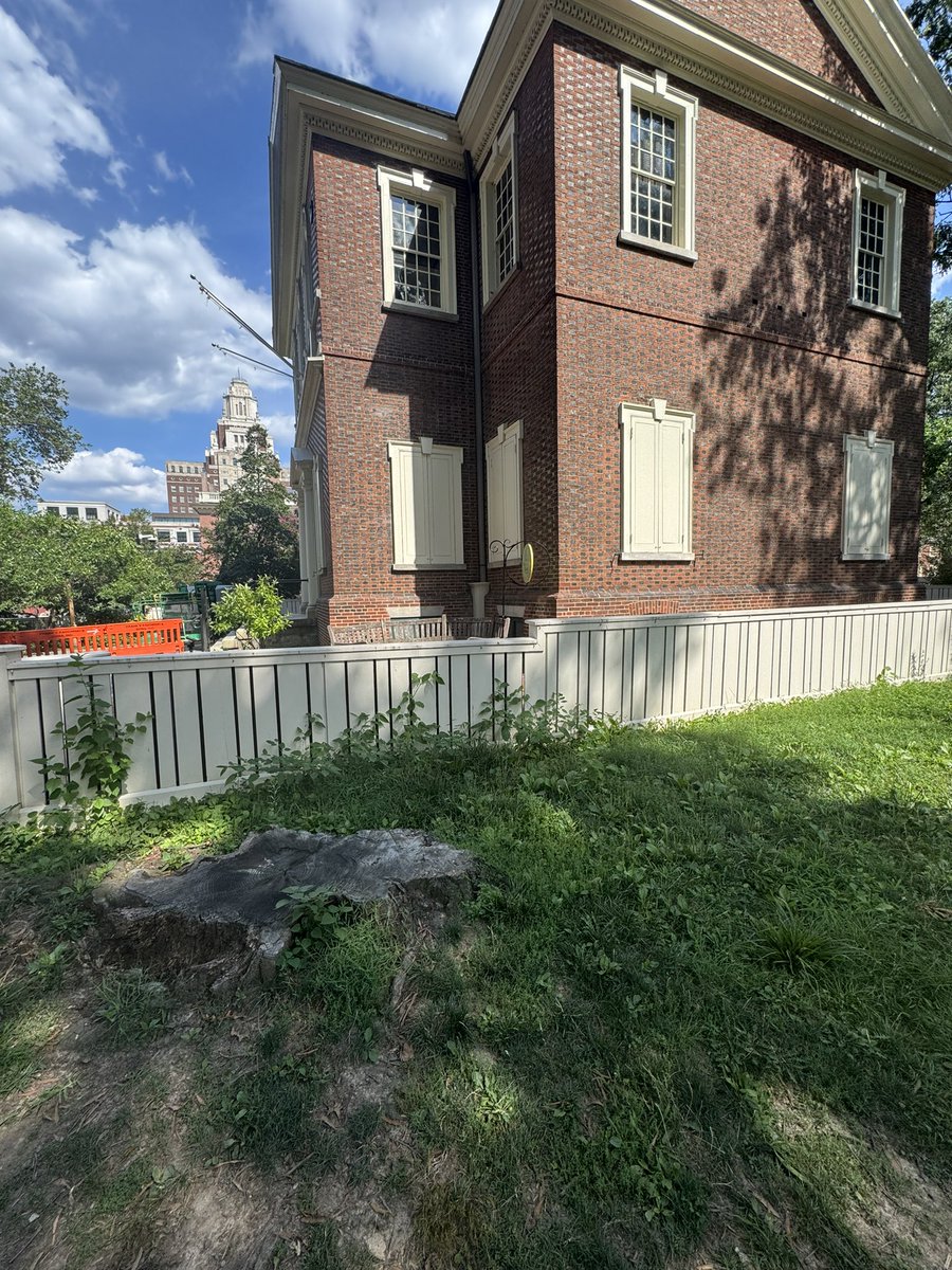 why_Philly_why's tweet image. I get we’ve had non-stop rain in July… but @INDEPENDENCENHP is really doing the bare minimum for landscape and lawn maintenance.
Most of the Independence attractions seem abandoned. Any plans for this @Philadelphia250?