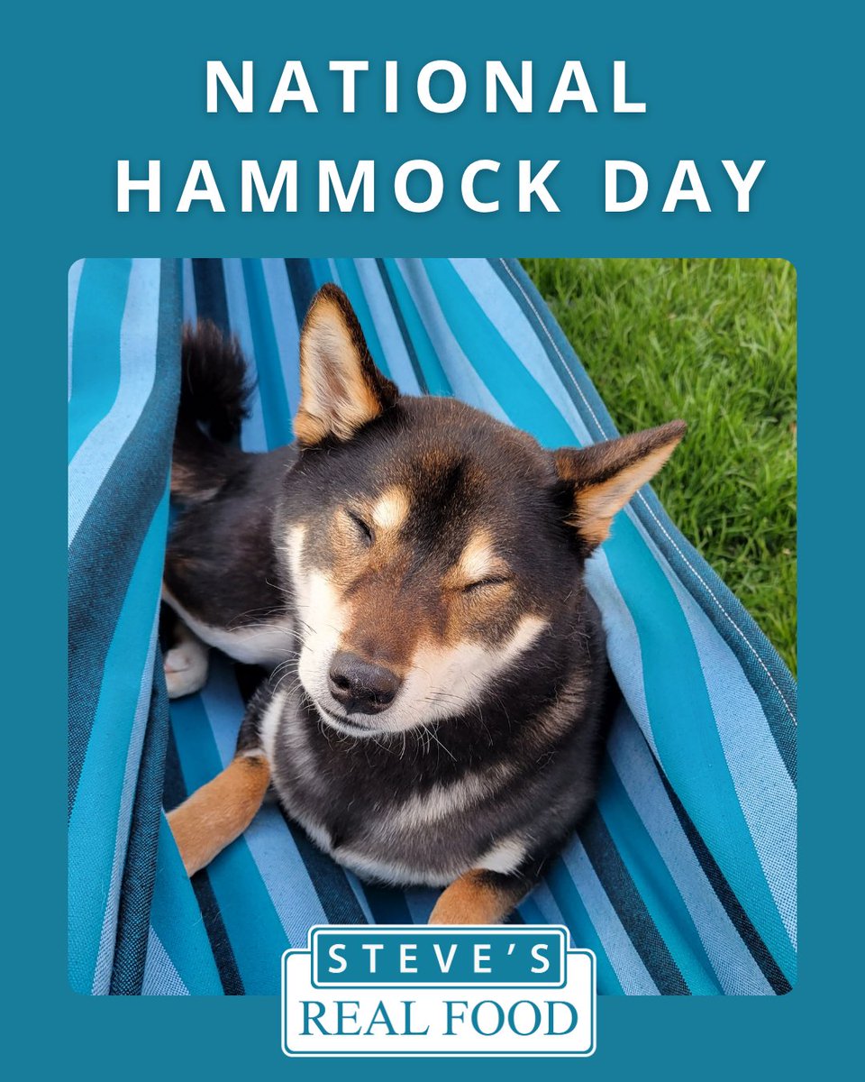 Just a pup, a hammock, and zero responsibilities. 😌

Happy National Hammock Day from our professional nap model. 🐾💤