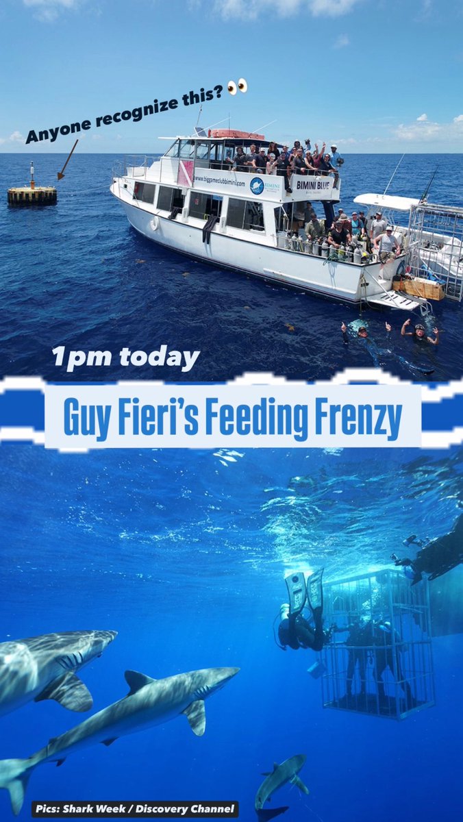 savingtheblue's tweet image. Anyone watching @GuyFieri feeding Frenzy on Shark Week? You might spot our logo 👀 Also, does anyone recognize that buoy??? 👀 🦈