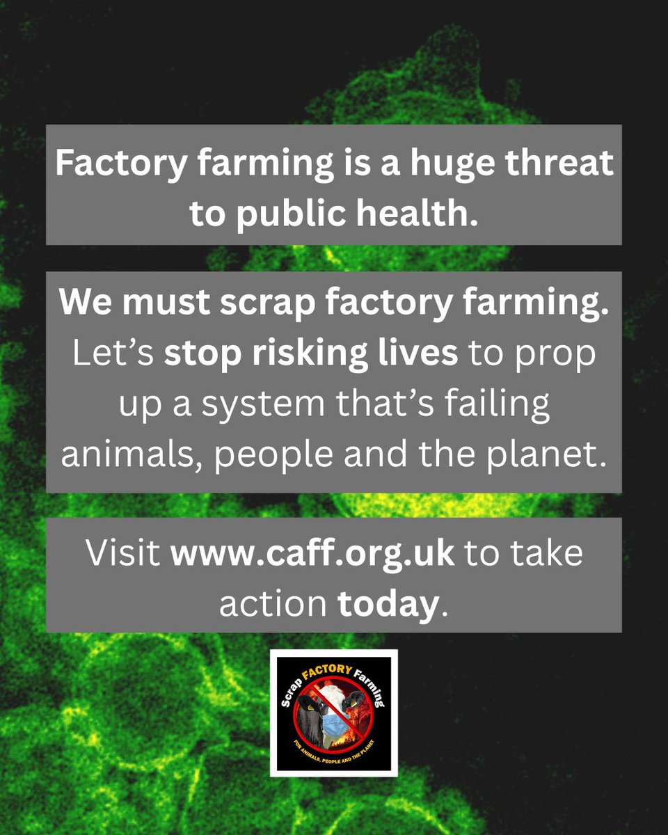 ScrapFactoryFarming tweet media