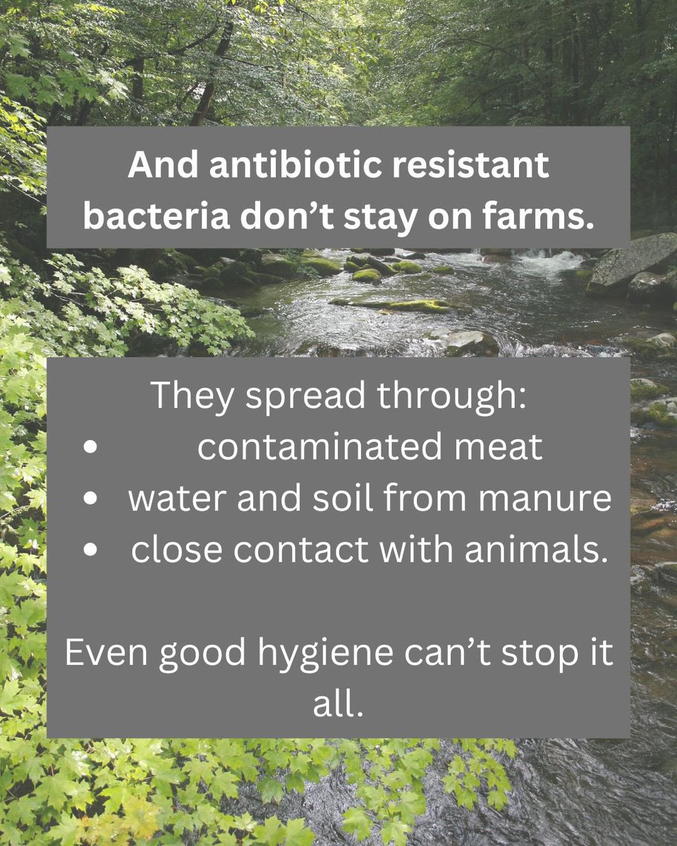 ScrapFactoryFarming tweet media